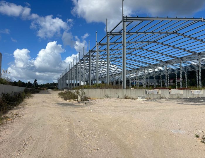 6e758b1d-5e6c-436d-a082-79eaa91ae6ca